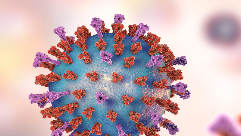 بهترین دندانپزشک اصفهان |بهترین دندانپزشک اصفهان